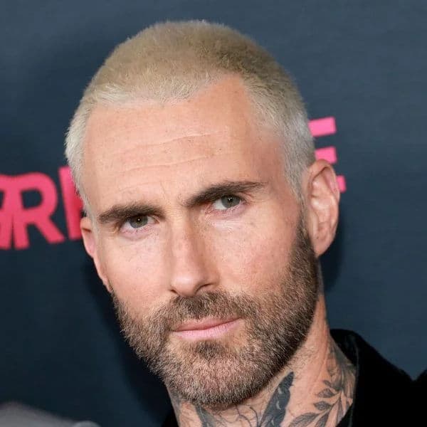 Bleached Buzz Cut with Full Beard hairstyle for oval face shape - men's very-short straight hair